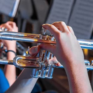 Relaxing Jazz Harmonies for Inner Calm - Meadow Park