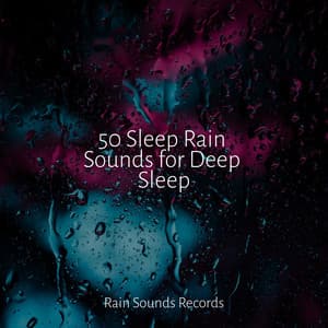 50 Sleep Rain Sounds for Deep Sleep - Relaxing Mindfulness Meditation Relaxation Maestro