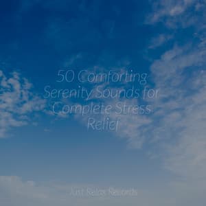 50 Comforting Serenity Sounds for Complete Stress Relief - Shakuhachi Sakano