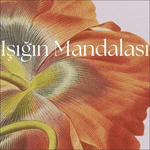 Işığın Mandalası: Tibet’in Pastel Yankıları - Gevşeme Meditasyon Akademisi