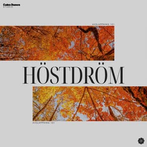 Höstdröm - Avslappning 101
