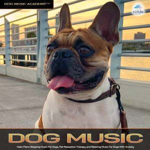 Dog Music: Calm Piano Sleeping Music For Dogs, Pet Relaxation Therapy and Relaxing Music For Dogs With Anxiety - Dog Music Academy