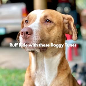 Ruff Ride with these Doggy Tunes - Relaxmydog
