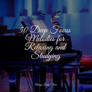 50 Calming Melodies for Resting, Working, and Studying - Restaurant Background Music