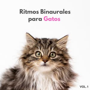Ritmos Binaurales Para Gatos Vol. 1 - Estado de distracción