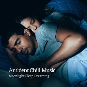 Ambient Chill Music: Moonlight Sleep Dreaming - Deep Sleep Background Noise