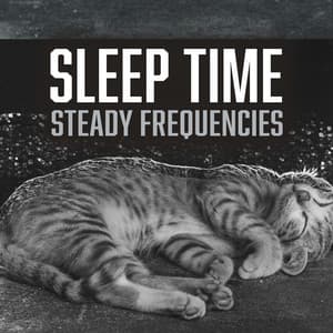 Steady Frequencies - Sleep Time