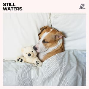 Still Waters - Sleep Music Academy