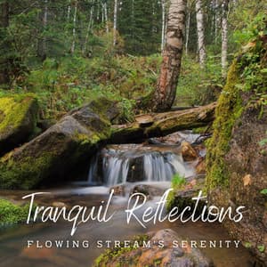 Stream of Tranquil Reflections: Meditative Soundscapes - Tranquil Serene