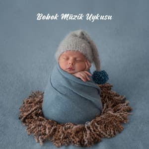 Bebek Müzik Uykusu: Küçük Çocuğunuz için Tam Huzurlu Gece ve Yeni Çağ Sesleri - Bebek Uyku Ninnileri