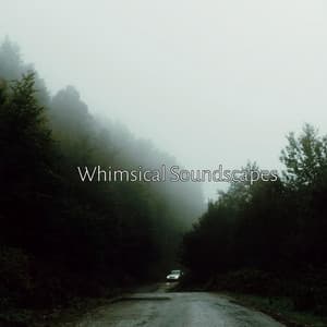 Whimsical Soundscapes - Eon Wilder