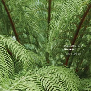 Evergreen - Patrick Shiroishi