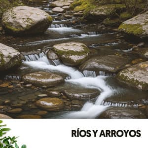 Sonidos del río y música: El canto de la corriente - Rivers and Streams