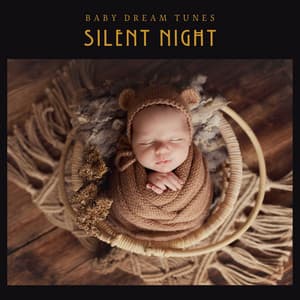 Silent Night: Gentle Sleep Music - Baby Dream Tunes