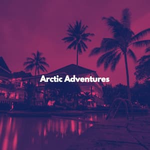 Arctic Adventures - Cafe BGM Japan