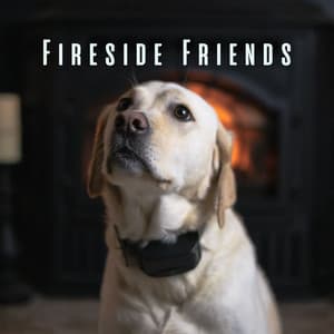 Fireside Friends: Crackling Bonfire Sounds for Dogs' Serenity - Warm Chill Fire Sounds