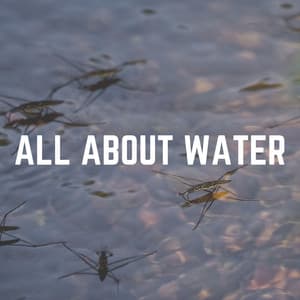 All About Water - Water Soundscapes