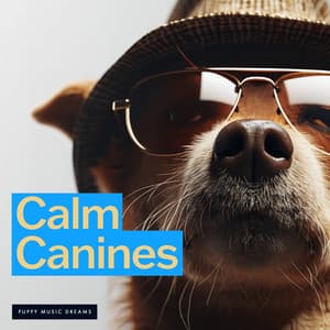 Calm Canines - Puppy Music Dreams