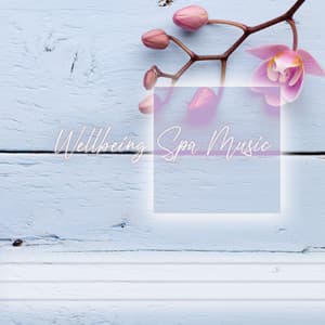 Wellbeing Spa Music: Total Relief and Deep Serenity All Day, Healthy Lifestyle - Spa Massage Solution