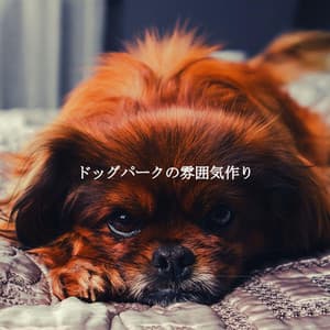 ドッグパークの雰囲気作り - Work from Home Groove