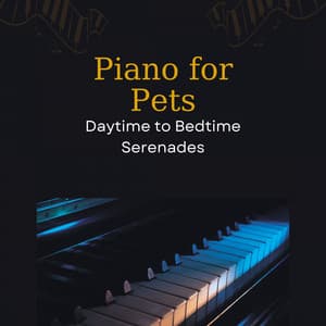 Piano for Pets: Daytime to Bedtime Serenades - Piano Toys