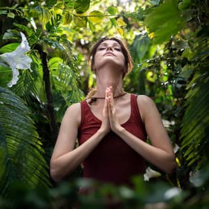 Breath of Calmness: Lofi Meditation Sound Symphony - Lofi Radiance