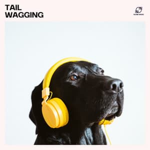 Tail Wagging - Pet Care Music Therapy