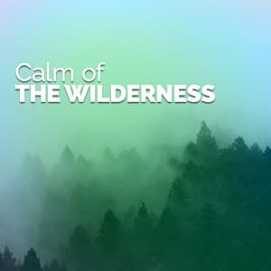 Calm of the Wilderness - Forest Sounds Relaxing Spa Music Singing Birds