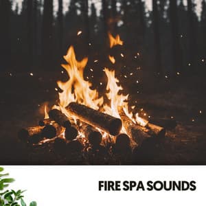 Fire Spa Sounds: Melodies for Tranquil Nights - Ruido Blanco Hart