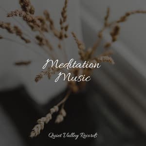 Meditation Music - White Noise for Babies