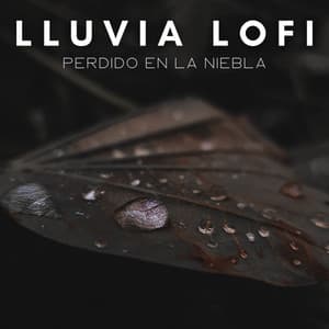 Lluvia Lofi: Perdido En La Niebla - Lo-Fi para estudiar