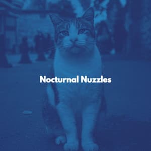 Nocturnal Nuzzles - Cat Music