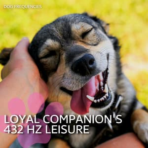 Loyal Companion's 432 Hz Leisure - Dog Frequencies