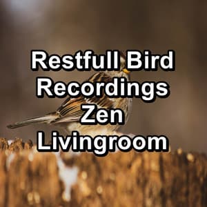 Restfull Bird Recordings Zen Livingroom - The Yoga Studio