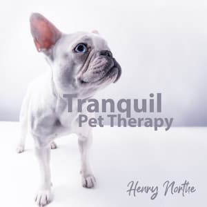 Tranquil Pet Therapy - Henry Northe