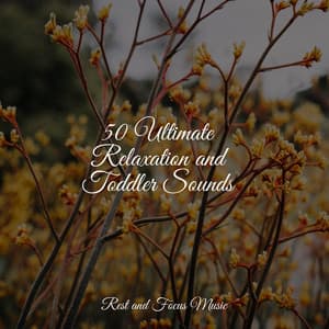 50 Ultimate Relaxation and Toddler Sounds - Study Zone