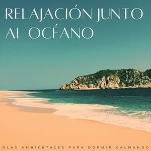 Relajación Junto Al Océano: Olas Ambientales Para Dormir Calmando - Sonidos del océano para dormir