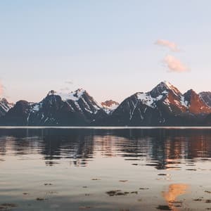 Nature Yoga - Yoga Flow