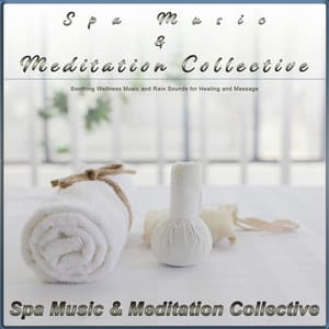Spa Music & Meditation Collective: Soothing Wellness Music and Rain Sounds for Healing and Massage - Spa Music & Meditation Collective