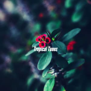 Tropical Tunes - Smooth Jazz Radio