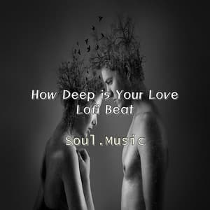 How Deep Is Your Love - Lofi Beat - Soul.Music