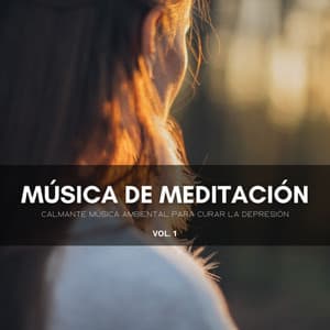 Música De Meditación: Calmante Música Ambiental Para Curar La Depresión Vol. 1 - Meditación Guiada