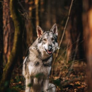 ハッピーテイル - Smooth Dinner Jazz Group