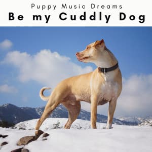 1 Be my Cuddly Dog - Puppy Music Dreams