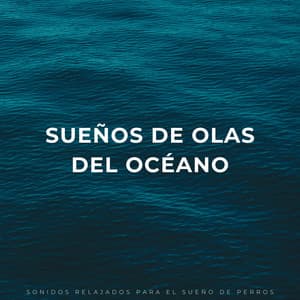 Sueños De Olas Del Océano: Sonidos Relajados Para El Sueño De Perros - Olas del océano para un sueño profundo