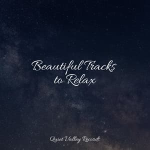Beautiful Tracks to Relax - Soothing Nature Sounds