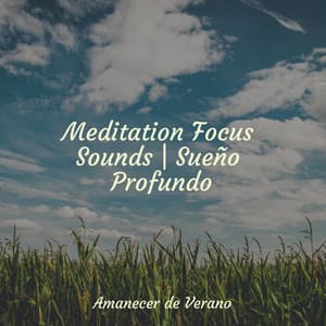 Meditation Focus Sounds | Sueño Profundo - Children's Music