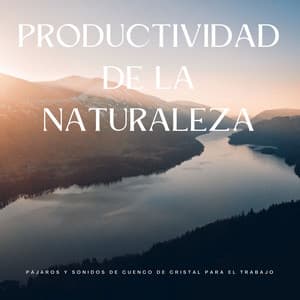Productividad De La Naturaleza: Pájaros Y Sonidos De Cuenco De Cristal Para El Trabajo - Pájaros Escandinavos