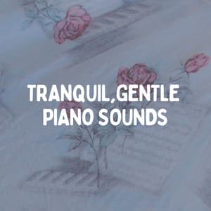 Tranquil, Gentle Piano Sounds - Relaxcation