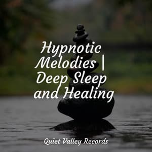 Hypnotic Melodies | Deep Sleep and Healing - Relaxation Music Guru
